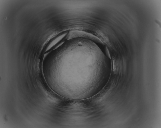 X0000095690300200801221253