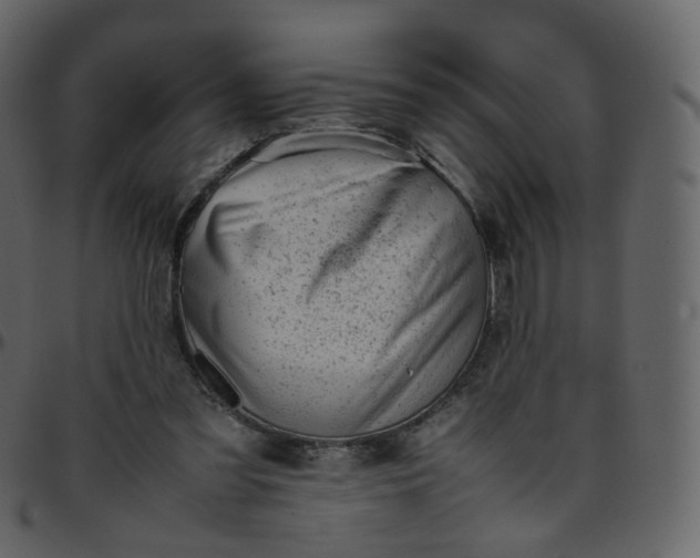 X0000095690301200801221253