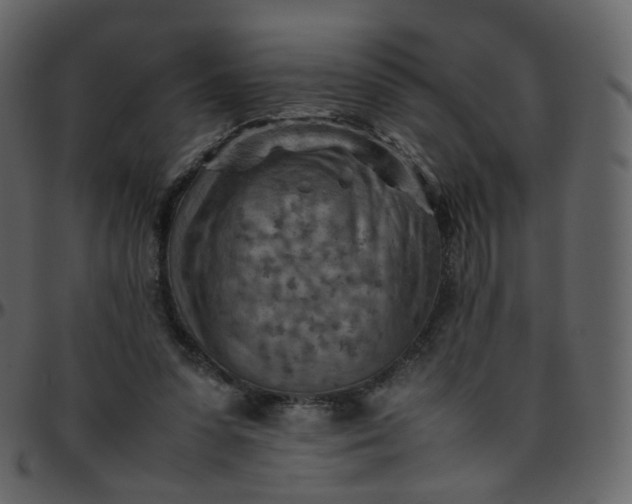 X0000095690303200801221253