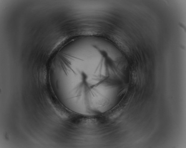 X0000095690304200801221253