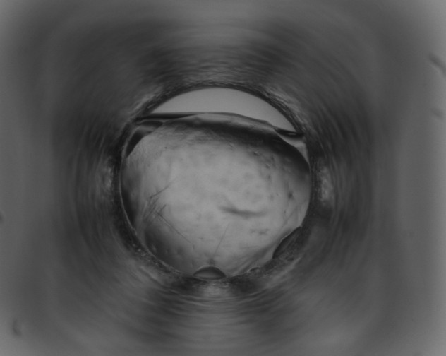 X0000095690308200801221253