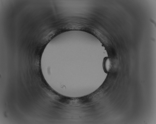 X0000095690309200801221253