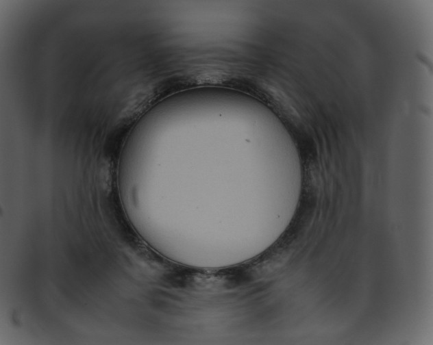 X0000095690311200801221253