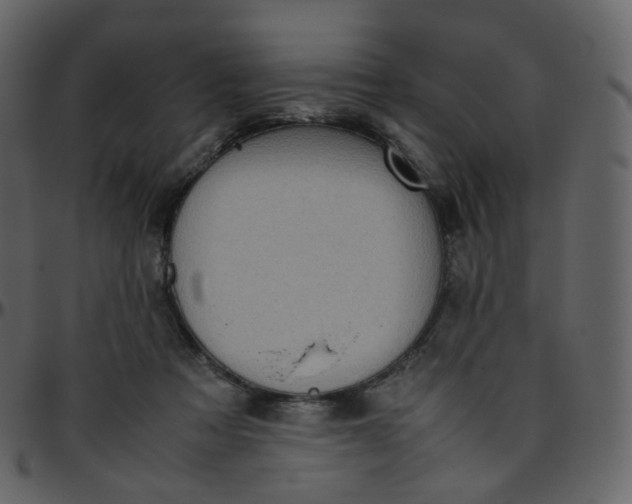 X0000095690313200801221253