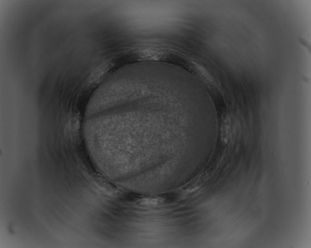 X0000095690314200801221253