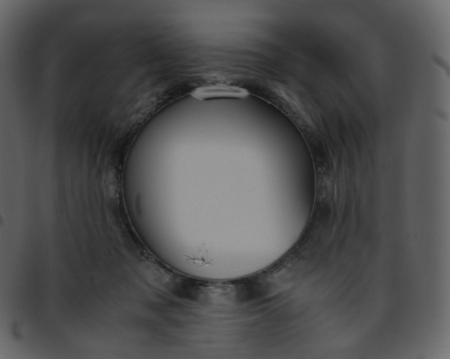 X0000095690317200801221253