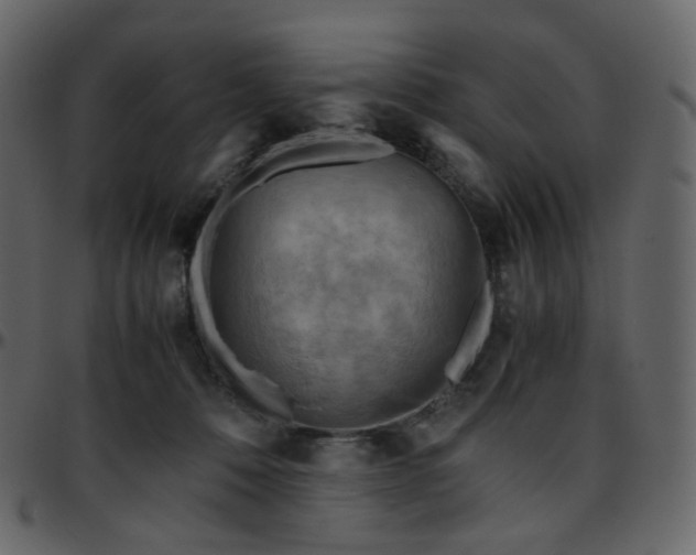 X0000095690320200801221253