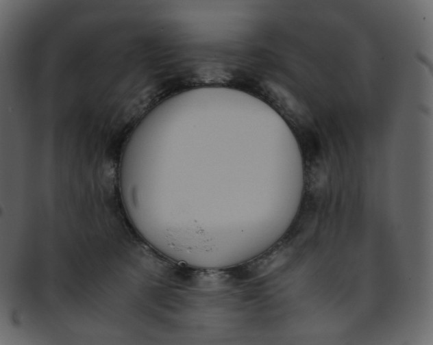 X0000095690321200801221253