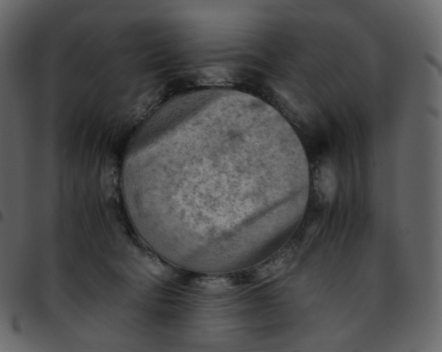 X0000095690322200801221253