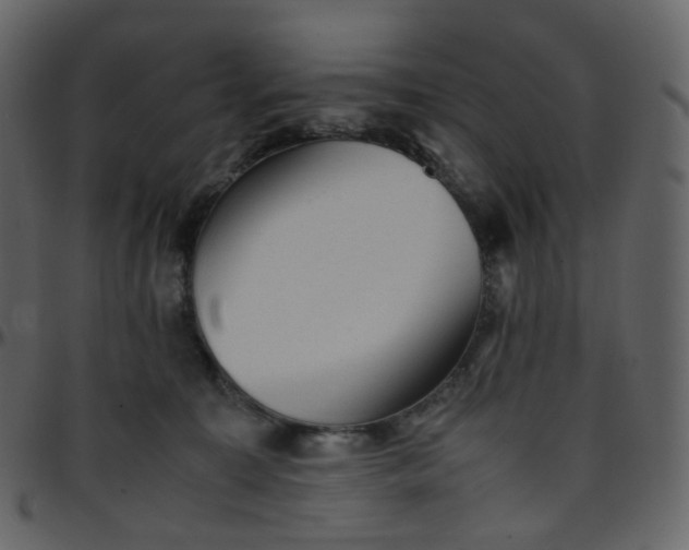 X0000095690323200801221253