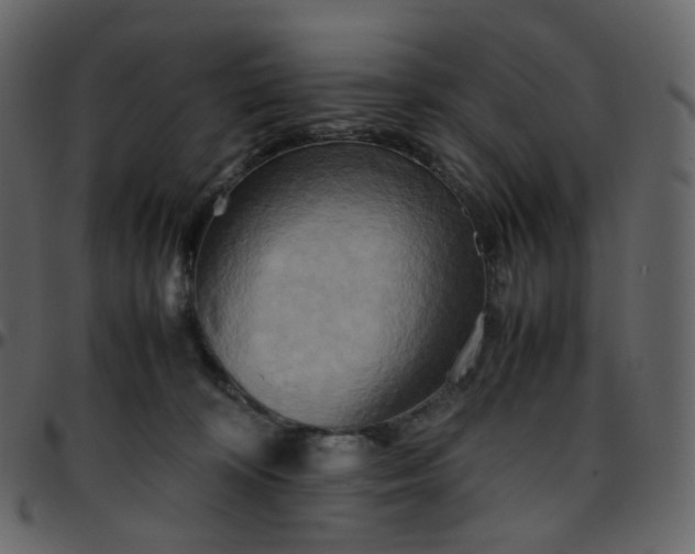 X0000095690324200801221253