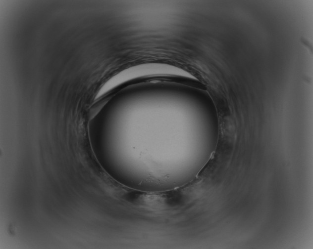 X0000095690327200801221253