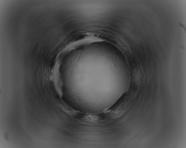 X0000095690328200801221253