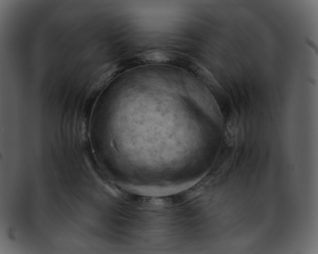 X0000095690330200801221253