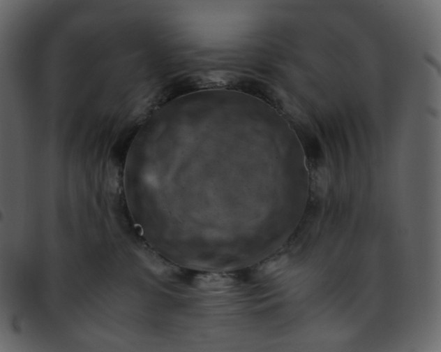 X0000095690331200801221253