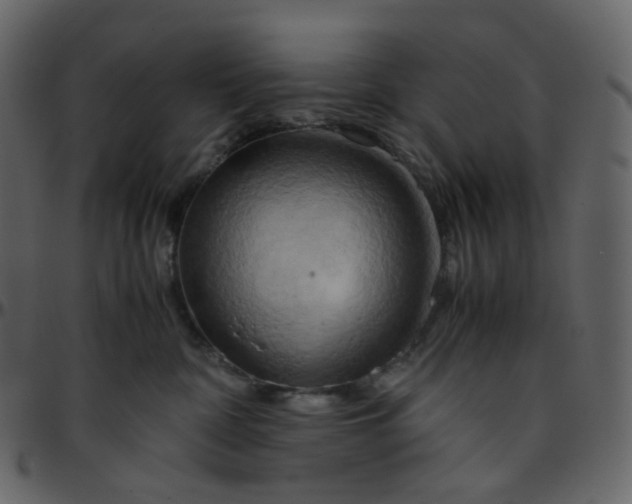 X0000095690332200801221252