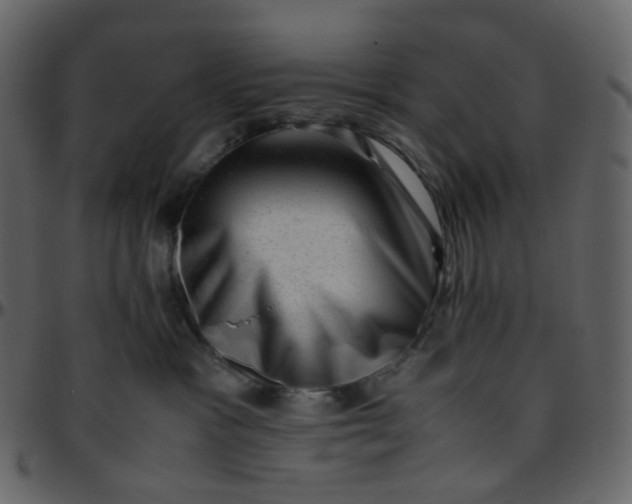 X0000095690333200801221252