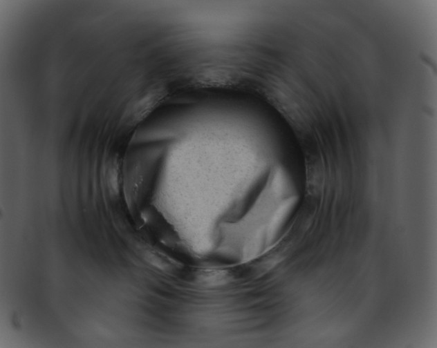 X0000095690334200801221252