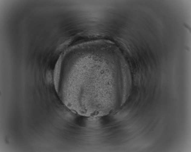 X0000095690335200801221252