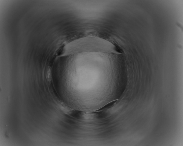 X0000095690336200801221252