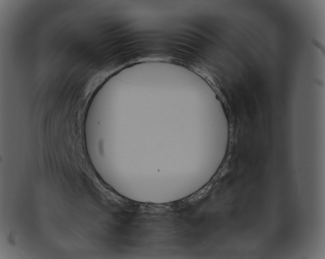 X0000095690337200801221252