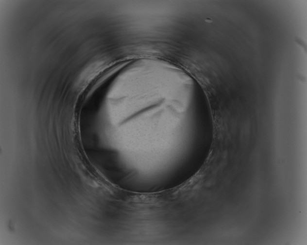 X0000095690338200801221252