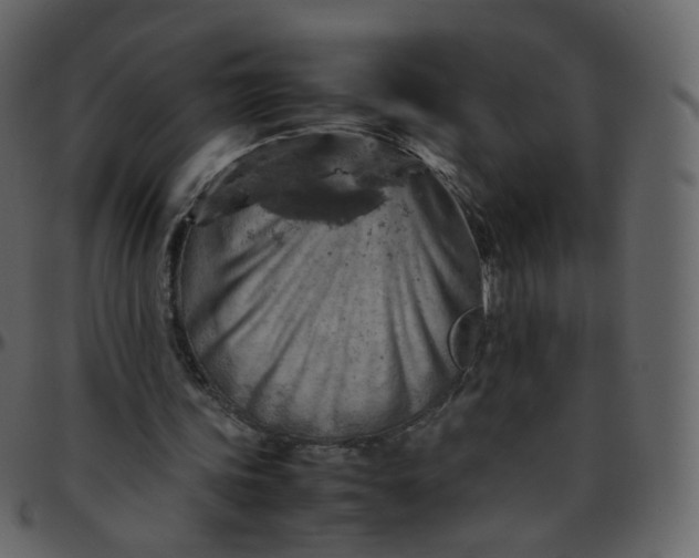 X0000095690339200801221252