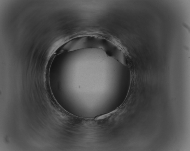 X0000095690340200801221252