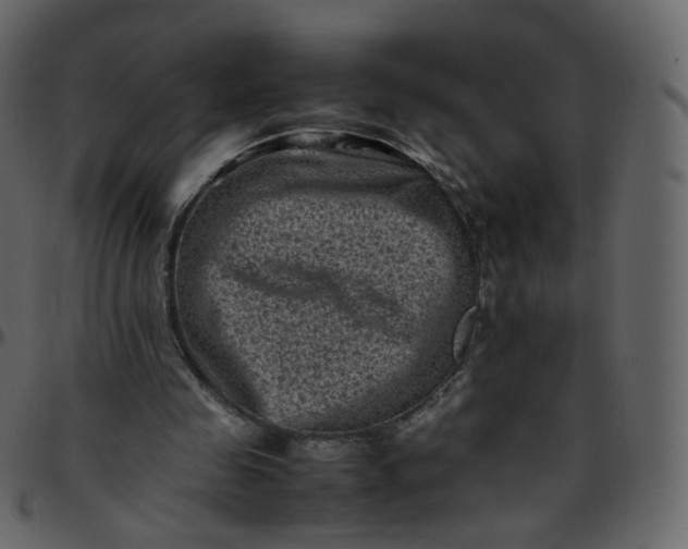 X0000095690341200801221252