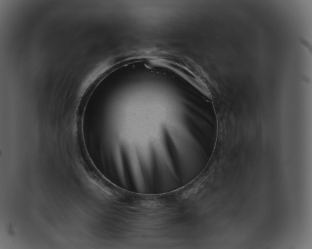 X0000095690344200801221252