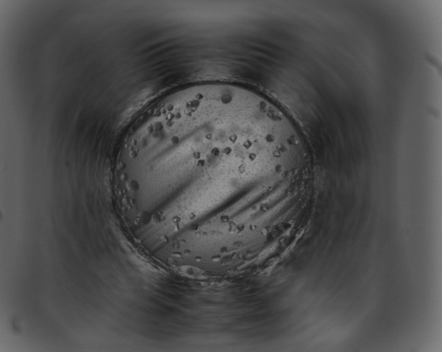 X0000095690345200801221252