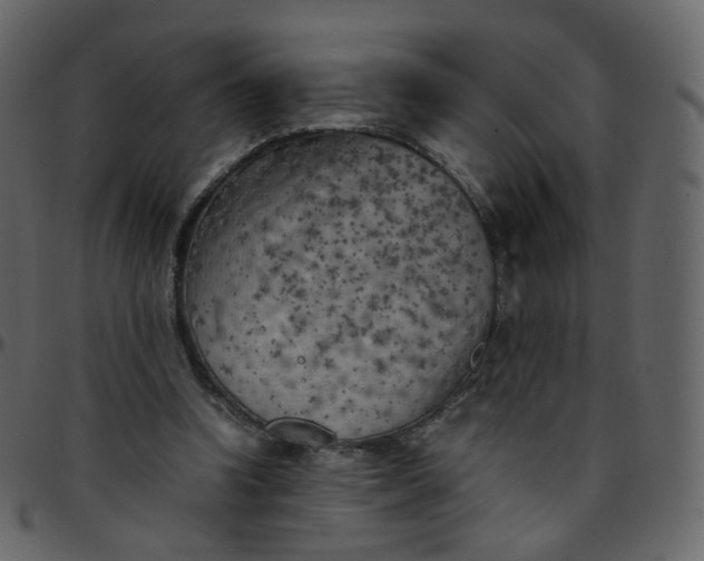 X0000095690346200801221252