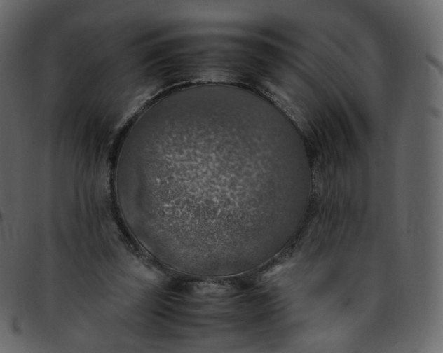 X0000095690347200801221252