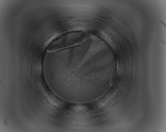 X0000095690348200801221252