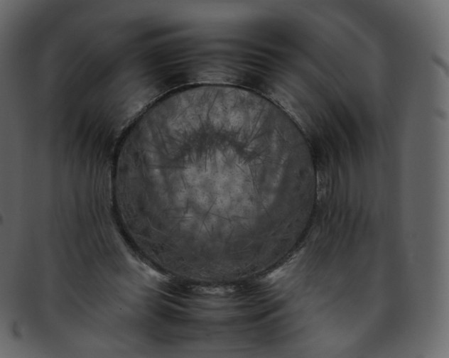 X0000095690349200801221252