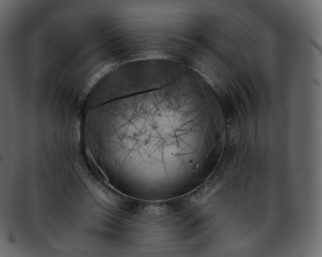 X0000095690350200801221252