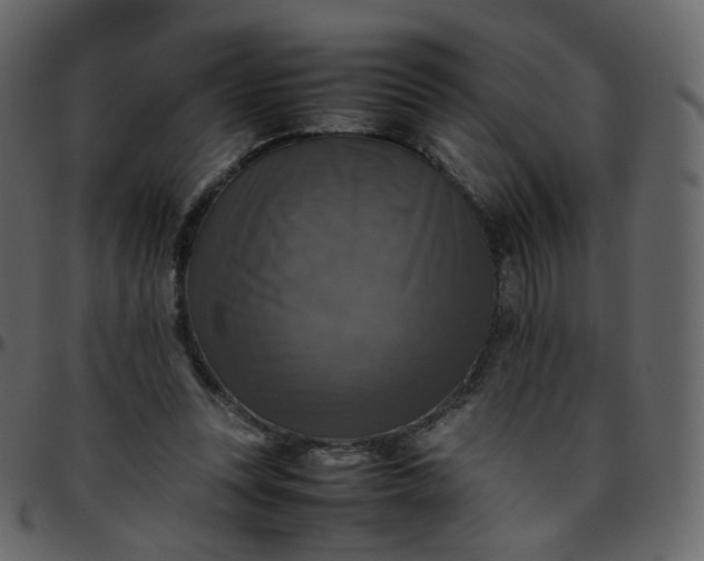 X0000095690351200801221252