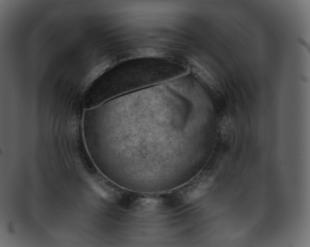 X0000095690352200801221252