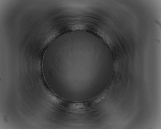 X0000095690353200801221252