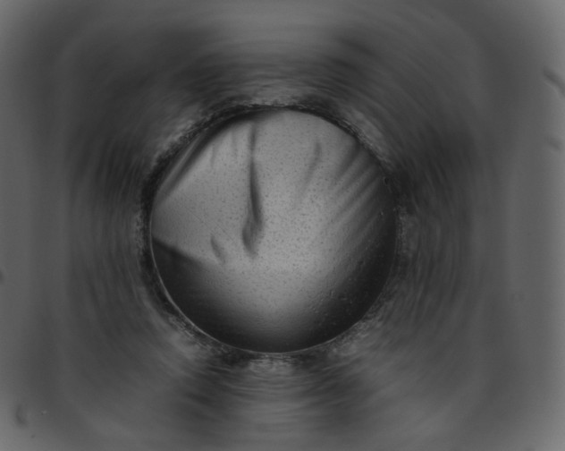 X0000095690354200801221252