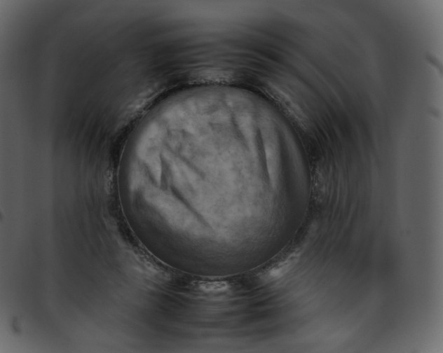 X0000095690355200801221252