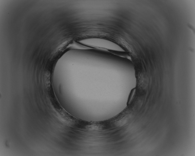 X0000095690356200801221252