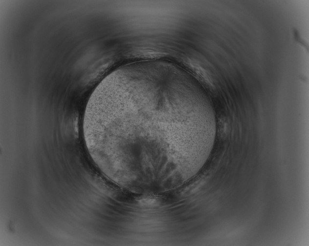 X0000095690358200801221252