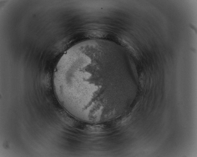 X0000095690359200801221252