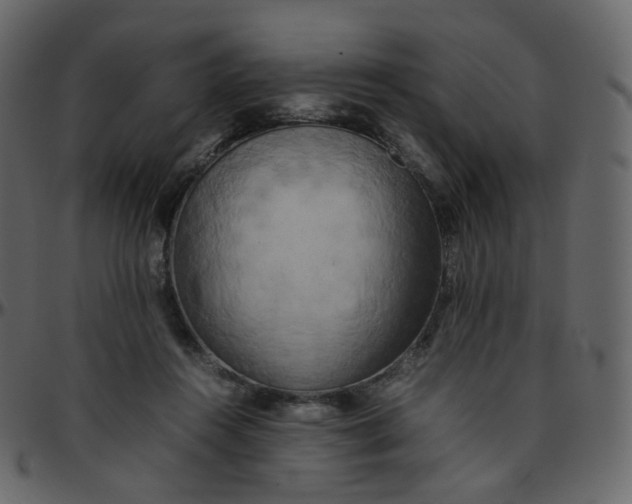 X0000095690360200801221252