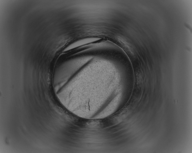 X0000095690362200801221252