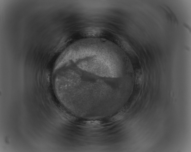 X0000095690363200801221252