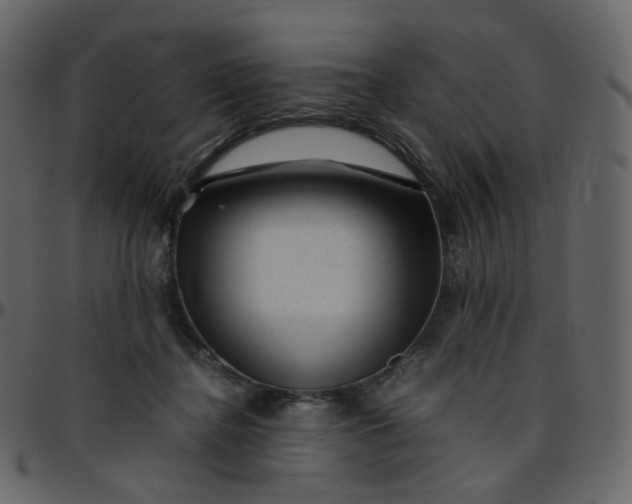 X0000095690364200801221252