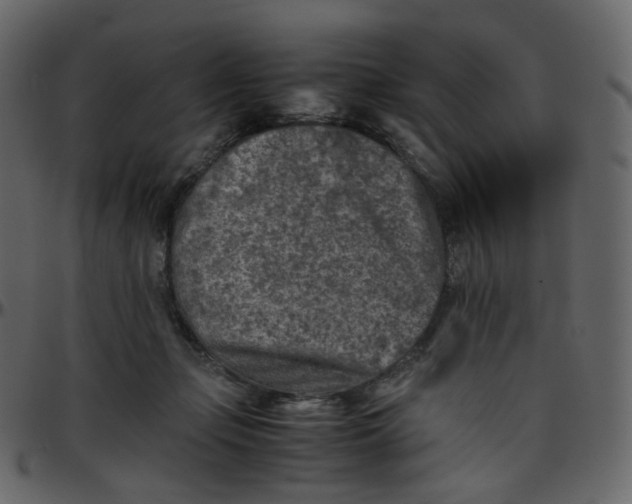 X0000095690365200801221252