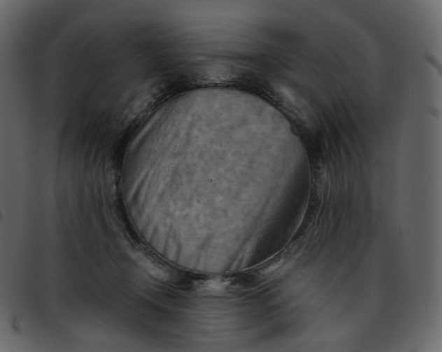 X0000095690366200801221252